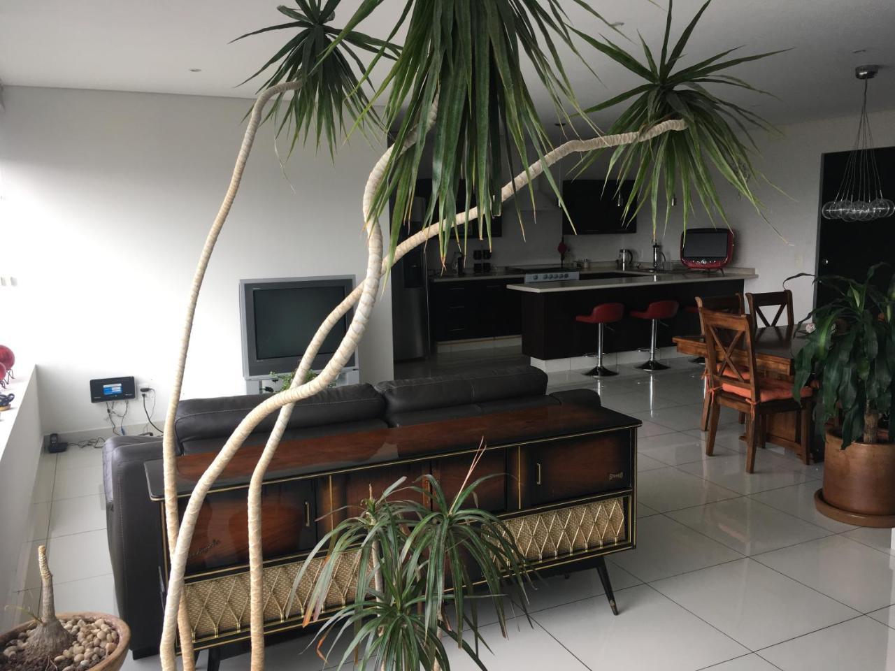 Napoles Condo Suites Città del Messico Esterno foto